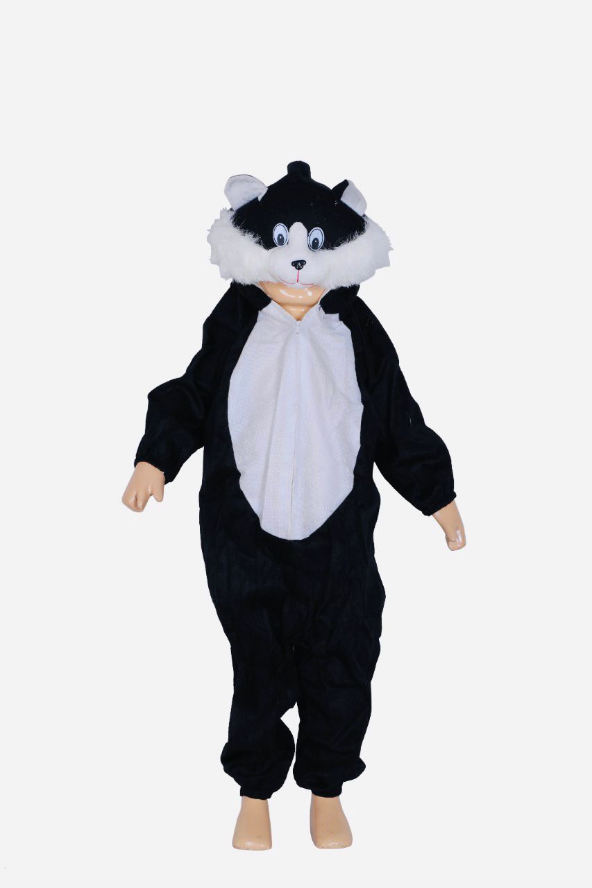 Costume image 